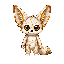 Kintsugi porcelain fennec